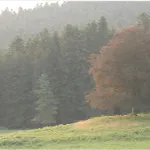 De Folgoux Malvières