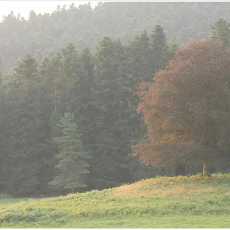De Folgoux Malvières